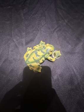 Family Dollar Novelty Frog Suction Cup Window Thermometer